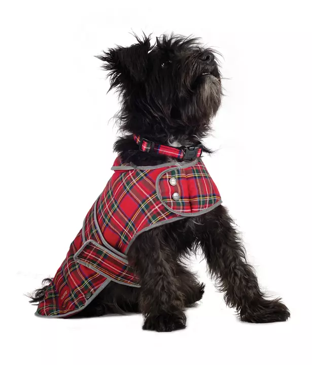 Ancol Muddy Paws Highland Tartan Coat Ancol Muddy Paws Highland Tartan Coat -Royal Canin Store ancol muddy paws highland tartan coat dy2j.jpg