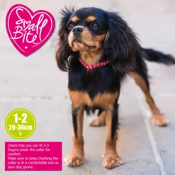 Ancol Small Bite Collar & Lead Set Reflective Paw & Bone Blue -Royal Canin Store ancol small bite collar lead set reflective paw bone blue rvsq.jpg