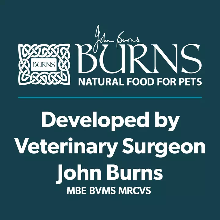 Burns Wholesome Turkey with Carrots Adult & Senior Dog Food Burns Wholesome Turkey With Carrots Adult & Senior Dog Food -Royal Canin Store burns wholesome turkey with carrots adult senior dog food eiaw.jpg