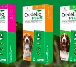 Credelio Plus Chewable Tablets For Dogs