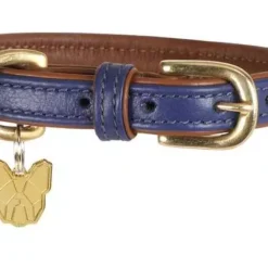 Digby & Fox Padded Leather Dog Collar Navy