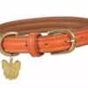 Digby & Fox Padded Leather Dog Collar Orange