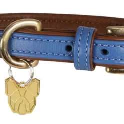 Digby & Fox Padded Leather Dog Collar Royal