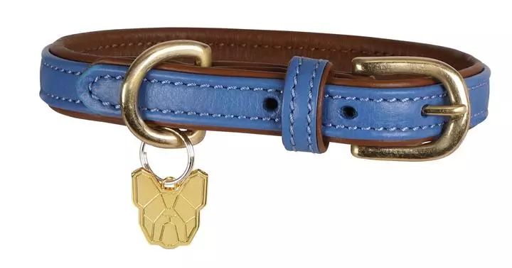 Digby & Fox Padded Leather Dog Collar Royal Digby & Fox Padded Leather Dog Collar Royal -Royal Canin Store digby fox padded leather dog collar royal