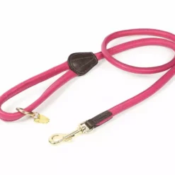Digby & Fox Rolled Leather Dog Lead Pink