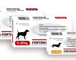 Fortekor Tablets For Dogs & Cats