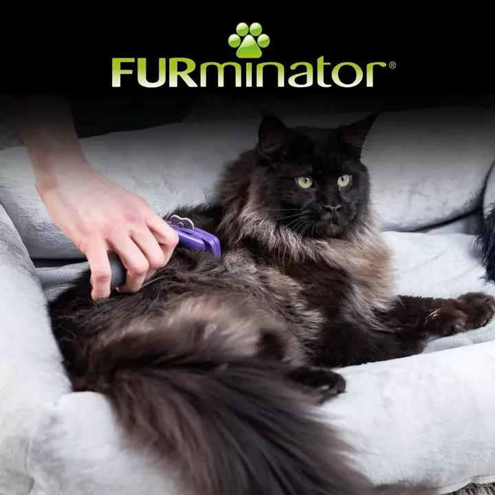 Furminator Undercoat deShedding Tool for Long Haired Cats Furminator Undercoat DeShedding Tool For Long Haired Cats -Royal Canin Store furminator undercoat deshedding tool for long haired cats ua8i.jpg