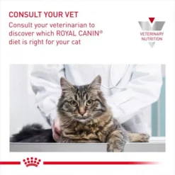 ROYAL CANIN® Gastro Intestinal Adult Cat Food -Royal Canin Store gastrointestinal gi32 qhdl.jpg