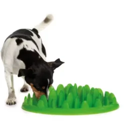 Company Of Animals Green Interactive Dog Feeder