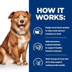 Hills Hill's Prescription Diet Derm Complete Wet Dog Food -Royal Canin Store hills prescription diet derm complete wet dog food 6xwx.jpg