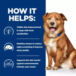 Hills Hill's Prescription Diet Derm Complete Wet Dog Food -Royal Canin Store hills prescription diet derm complete wet dog food y08e.jpg