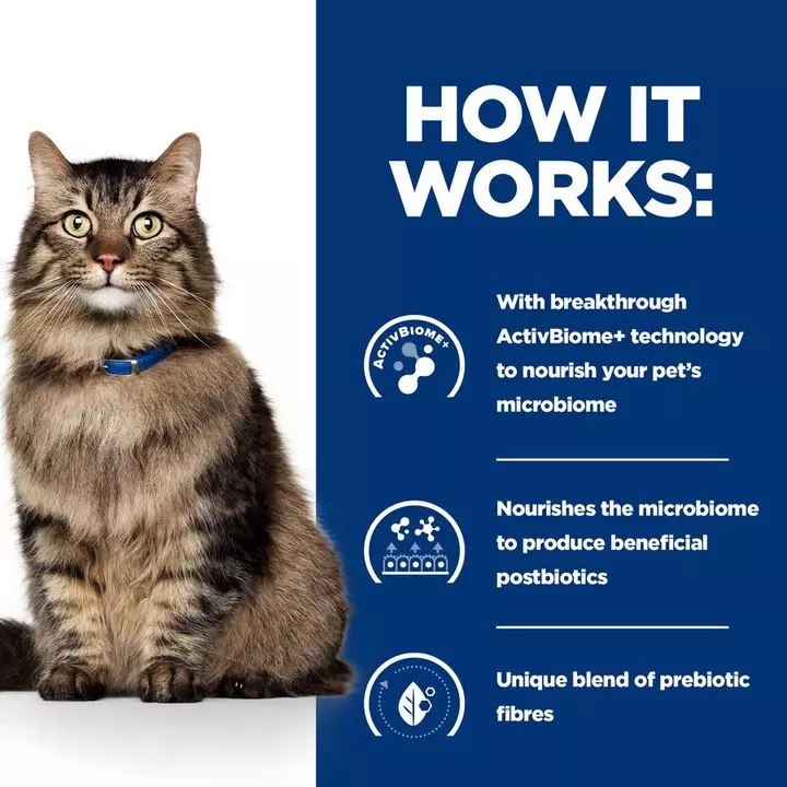 Hill's Prescription Diet Gastrointestinal Biome Dry Cat Food with Chicken Hills Hill's Prescription Diet Gastrointestinal Biome Dry Cat Food With Chicken -Royal Canin Store hills prescription diet gastrointestinal biome dry cat food