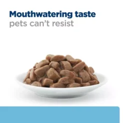 Hills Hill's Prescription Diet K/d Early Stages Cat Pouches -Royal Canin Store hills prescription diet kd early stages cat pouches 7cg6.jpg