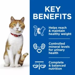 Hills Hill's Science Plan Healthy Cuisine Sterilised Cat Adult Stew With Chicken Salmon Ocean Fish Vegetables -Royal Canin Store hills science plan healthy cuisine sterilised cat adult stew with chicken salmon ocean fish vegetables t3s8.jpg