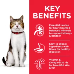 Hills Hill's Science Plan Mature Adult Chicken Cat Food 2 Hills Hill's Science Plan Mature Adult Chicken Cat Food -Royal Canin Store hills science plan mature adult chicken cat food zyoh.jpg