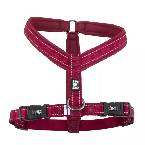 Hurtta Casual Lingon Red Padded Dog Y-Harness Hurtta Casual Lingon Red Padded Dog Y-Harness -Royal Canin Store hurtta casual lingon red padded dog yharness gc40.jpg