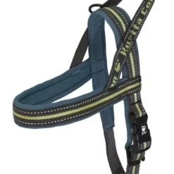 Hurtta New Style Juniper Padded Dog Harness