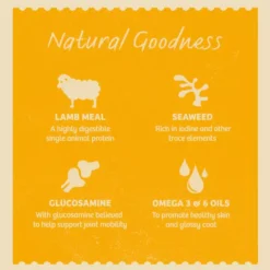 James Wellbeloved Grain Free Senior Dog Lamb In Gravy -Royal Canin Store james wellbeloved grain free senior dog lamb in gravy j3qu.jpg