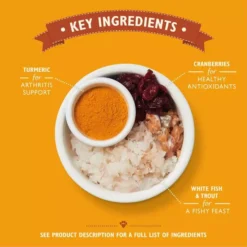 Lily's Kitchen Chicken & White Fish Kitten Recipe 4 Lily's Kitchen Chicken & White Fish Kitten Recipe -Royal Canin Store lilys kitchen lifestages jgjl.jpg