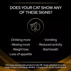 PRO PLAN VETERINARY DIETS NF Renal Function Wet Cat Food -Royal Canin Store nf formula cat wet fg2k.jpg