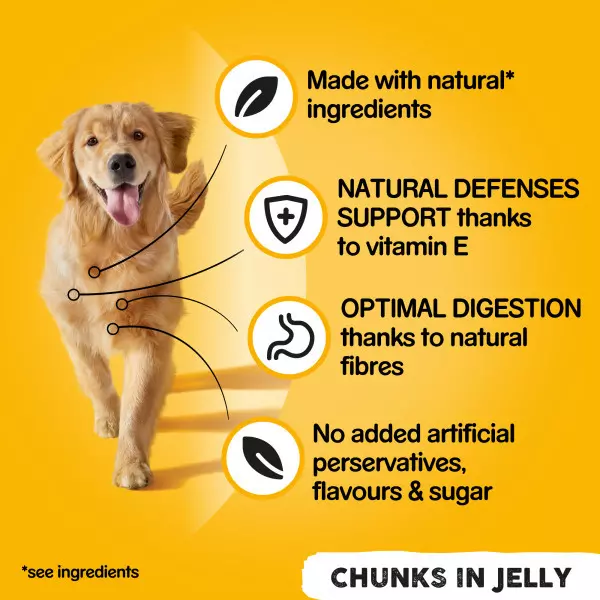 Pedigree Chicken in Jelly Dog Tins Pedigree Chicken In Jelly Dog Tins -Royal Canin Store pedigree chicken in jelly dog tins 9tw0.jpg