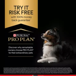 PRO PLAN Optidigest Sensitive Digest Medium Puppy Dry Dog Food Lamb -Royal Canin Store puppy sensitive digestion lamb k4cj.jpg