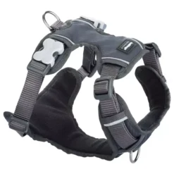 Red Dingo Grey Padded Dog Harness