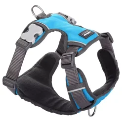 Red Dingo Turquoise Padded Dog Harness