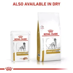 ROYAL CANIN® Canine Urinary S/O Ageing 7+ Adult Dog Food -Royal Canin Store royal canin canine urinary so ageing 7 adult dog food q4gp.jpg
