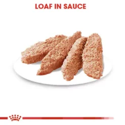 ROYAL CANIN® Digestive Care Adult Wet Dog Food -Royal Canin Store royal canin digestive care adult wet dog food w5rc.jpg