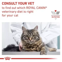 ROYAL CANIN® Early Renal Adult Wet Cat Food -Royal Canin Store royal canin early renal adult wet cat food zru0.jpg