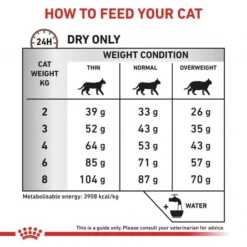 ROYAL CANIN® Gastro Intestinal Fibre Response Cat Food -Royal Canin Store royal canin feline gastro intestinal fibre response dry food 2kdq.jpg