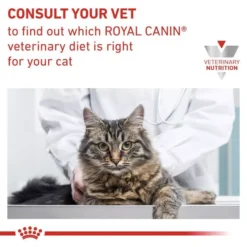 ROYAL CANIN® Gastro Intestinal Fibre Response Cat Food -Royal Canin Store royal canin feline gastro intestinal fibre response dry food kozh.jpg