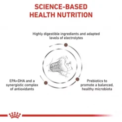ROYAL CANIN® Gastro Intestinal Fibre Response Cat Food -Royal Canin Store royal canin feline gastro intestinal fibre response dry food m1bv.jpg