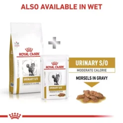 ROYAL CANIN® Feline Urinary S/O Moderate Calorie Adult Cat Food -Royal Canin Store royal canin feline urinary so moderate calorie adult cat food h8sr.jpg