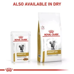 ROYAL CANIN® Feline Urinary S/O Moderate Calorie Adult Cat Food -Royal Canin Store royal canin feline urinary so moderate calorie adult cat food ydxb.jpg