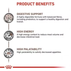 ROYAL CANIN® Gastro Intestinal Adult Cat Food -Royal Canin Store royal canin gastro intestinal adult cat food z6c7.jpg