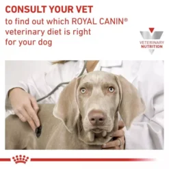 ROYAL CANIN® Hepatic Dog Food -Royal Canin Store royal canin hepatic dog food cctx.jpg