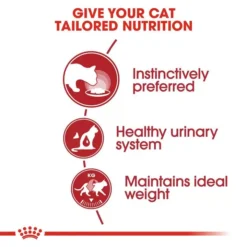 ROYAL CANIN® Instinctive Adult In Jelly Wet Cat Food 6 ROYAL CANIN® Instinctive Adult In Jelly Wet Cat Food -Royal Canin Store royal canin instinctive adult in jelly wet cat food 1eel.jpg