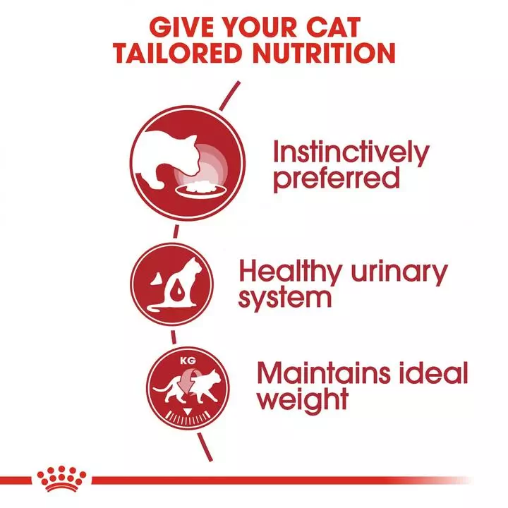 ROYAL CANIN® Instinctive Adult in Jelly Wet Cat Food ROYAL CANIN® Instinctive Adult In Jelly Wet Cat Food -Royal Canin Store royal canin instinctive adult in jelly wet cat food 1eel.jpg