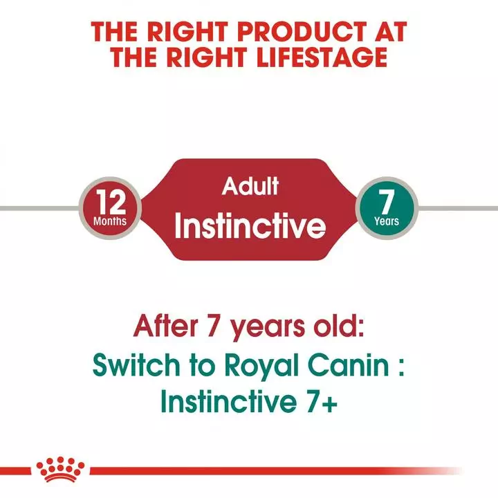 ROYAL CANIN® Instinctive Adult in Jelly Wet Cat Food ROYAL CANIN® Instinctive Adult In Jelly Wet Cat Food -Royal Canin Store royal canin instinctive adult in jelly wet cat food