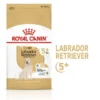 ROYAL CANIN® Labrador Retriever Adult 5+ Dry Dog Food
