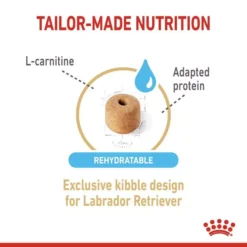 ROYAL CANIN® Labrador Retriever Adult 5+ Dry Dog Food -Royal Canin Store royal canin labrador retriever adult 5 dry dog food q3rz.jpg