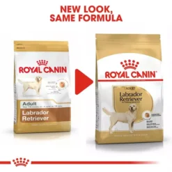 ROYAL CANIN® Labrador Retriever Adult Dry Dog Food -Royal Canin Store royal canin labrador retriever adult dry dog food 74oh.jpg