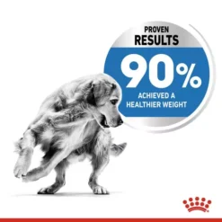 ROYAL CANIN® Maxi Light Weight Care Adult Dog Food -Royal Canin Store royal canin maxi light weight care adult dog food 5jtl.jpg