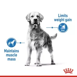 ROYAL CANIN® Maxi Light Weight Care Adult Dog Food -Royal Canin Store royal canin maxi light weight care adult dog food bxqr.jpg