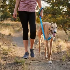 Ruffwear Crag Sunset Leash -Royal Canin Store ruffwear crag sunset leash 45xd.jpg