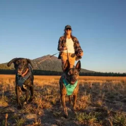 Ruffwear Front Range Blue Moon Harness -Royal Canin Store ruffwear front range blue moon harness vc13.jpg