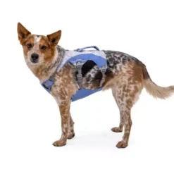 Ruffwear Swamp Cooler Dog Cooling Harness Heliotrope Purple -Royal Canin Store ruffwear swamp cooler dog cooling harness heliotrope purple 840t.jpg