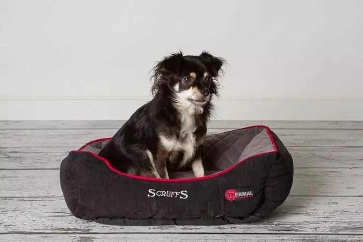 Scruffs Thermal Box Bed Scruffs Thermal Box Bed -Royal Canin Store scruffs thermal box bed ddwz.jpg